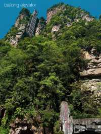 Immerse Yourself in the Avatar Mountains