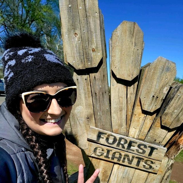 A family of forest giants designed in harmony with nature to illustrate the scale of wonder