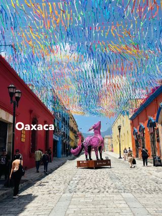 โออาซากาเป็นเมืองที่วิเศษที่สุด!

โออาซากา ดินแดนแห่งอาหารชั้นเลิศ
ฉันได้ลองโมเลเนโกรและทราจูดาสอันโด่งดัง 🍴
โมเลรสชาติเข้มข้น
ทราจูดาสอร่อยมาก ทำจากเนื้อวัวแห้งและชีสโออาซากา

หลังอาหารเย็น ฉันดื่มเครื่องดื่มโกโก้แบบดั้งเดิมของโออาซากา
ฉันดื่มเตฮาเต เครื่องดื่มของเทพเจ้า

มีขายริมถนนและในซูเปอร์มาร์เก็ต

เครื่องดื่มชูกำลังโออาซากา

ทิวทัศน์สวยงามและอาหารก็อร่อย!
ฉันขอแนะนำอย่างยิ่ง 🙋‍♀️💛
#โออาซากา
