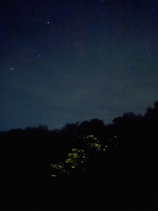 Discover Nature Magic at Naga🌳🌋💦 Discover Nature Magic at Naga🌳🌋💦