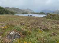 Very nice Killarney National Park 🗺️