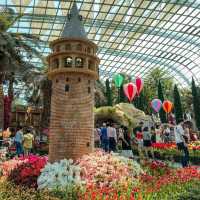 Flower Dome Singapore 🌼