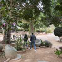 Crocopark Park A remarkable Venture in Agadir