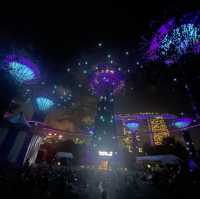 superTrees and night show at Singapore
