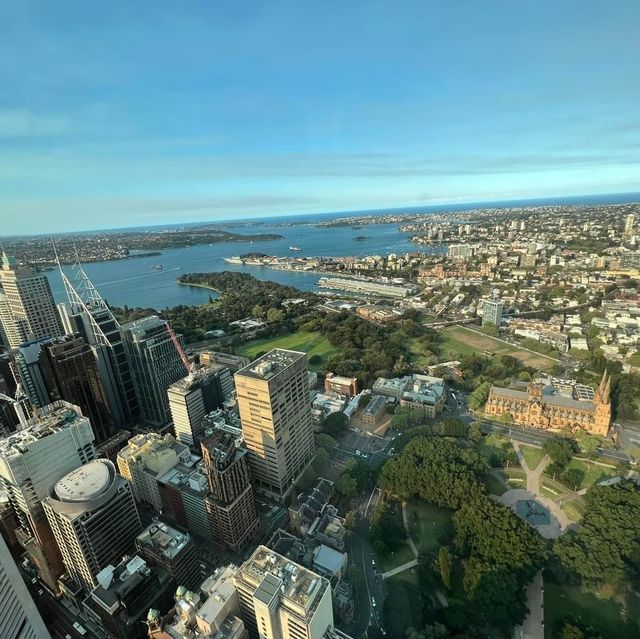 Must Visit: Sydney Tower Eye 🇦🇺