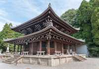 Adventures in the Heart of Tokyo