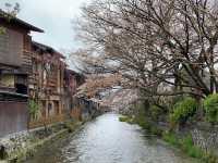 Timeless Elegance of Kyoto's Gion District