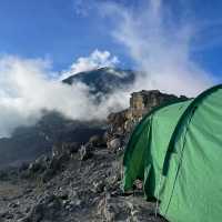 Kilimanjaro hiking Lemosho route 8 days.