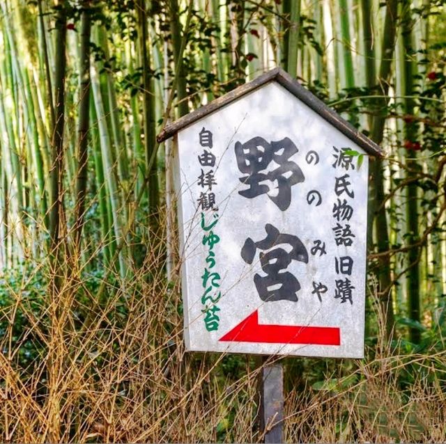 💝野宮神社💜激發愛情聞名的戀愛神社👩‍❤️‍💋‍👨