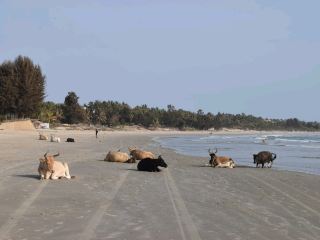カプ・スキーリングの静かなビーチ。