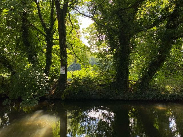 Serene Day at Lullingstone Country Park 🌳🌼