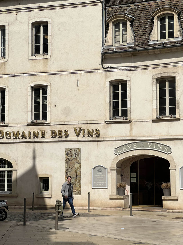 🇫🇷소도시 가장유명한 와인 생산지« beaune »