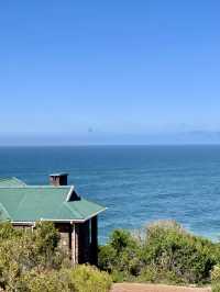 Dolphins and whales from your bedroom window 🐳