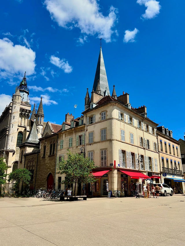 A day visit to Dijon 🇫🇷