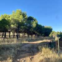 Exploring the Forest Above Alameda del Parral in Segovia 🌲