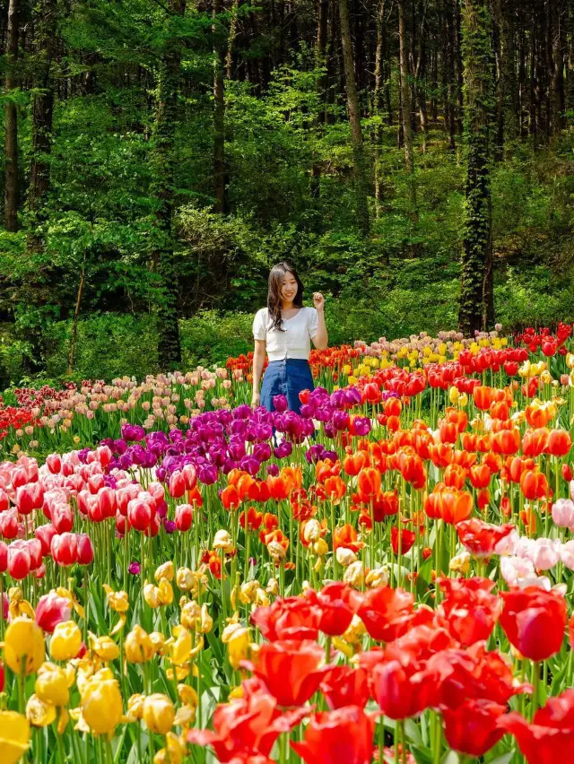 아침고요수목원