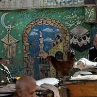 Vibrant Heart of Alexandria 