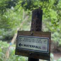 Beautiful hike with waterfalls 