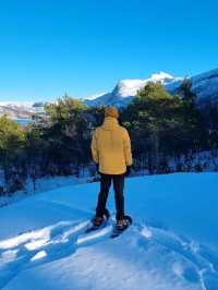 🇳🇴 Look no further than Bodø for your arctic adventure ✈️❄️ 