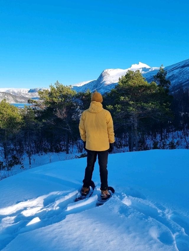 🇳🇴 Look no further than Bodø for your arctic adventure ✈️❄️ 