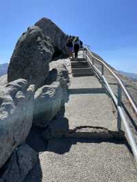 Sequoia National Park – The Ultimate Giant Tree Theme Park! 🌟🌿