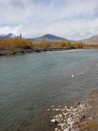 Spituk Monastery: A Spiritual Retreat Near Leh