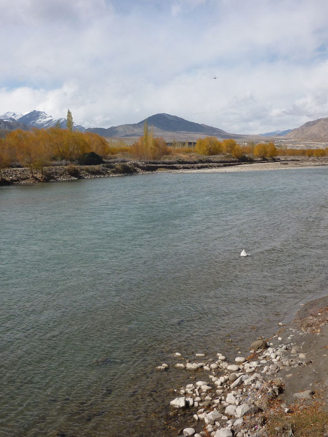Spituk Monastery: A Spiritual Retreat Near Leh