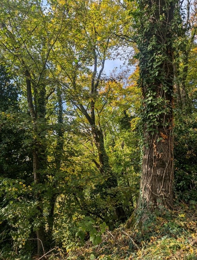 Sunday Hike 