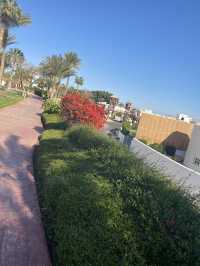 Golf beach resort 