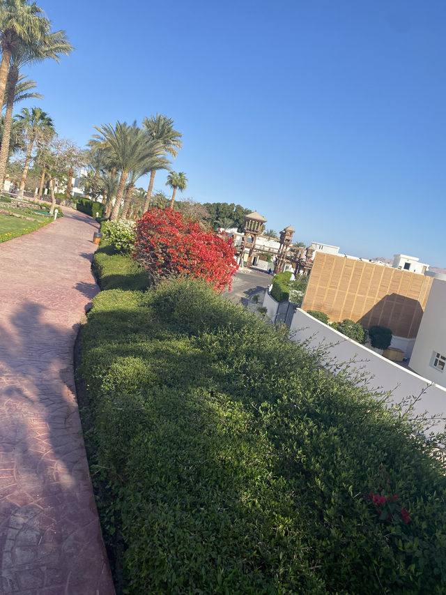 Golf beach resort 
