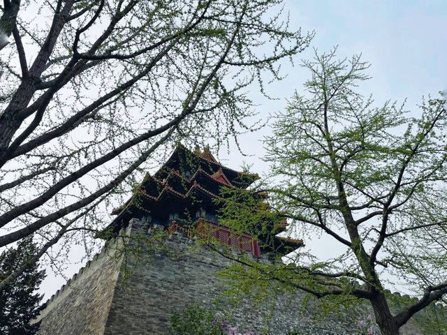 A Perfect Beijing Layover: From Forbidden City’s Corner Tower to Beihai’s Serenity and Jingshan’s Sk