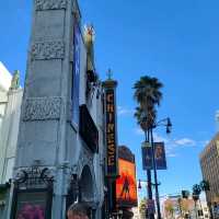 Stroll Among the Stars: The Walk of Fame in LA! ⭐️🎬