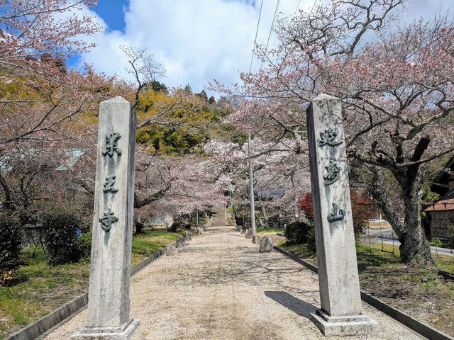 Founder by Tokuichi Daishi