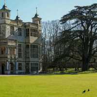 🌸🌿 Spring Has Landed at Audley End House & Gardens in Uttlesford! 🌿🌸