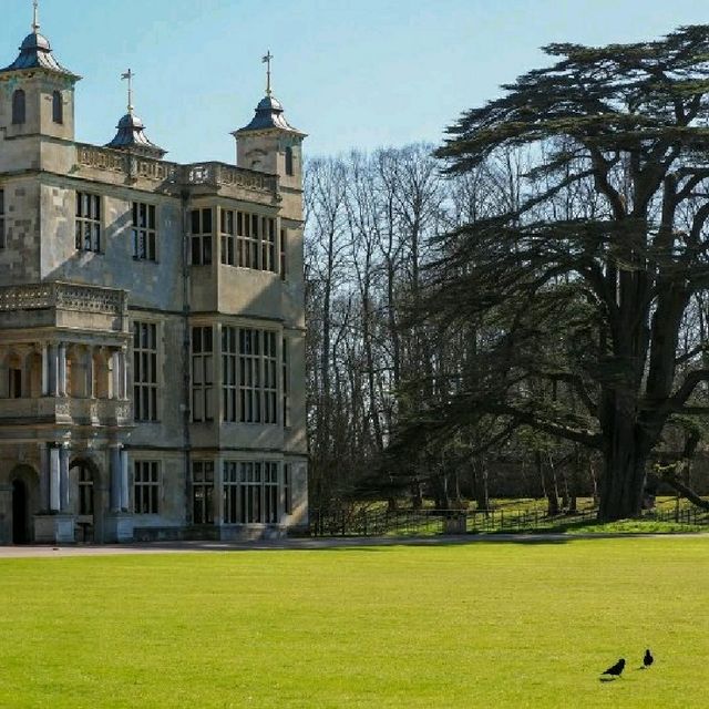 🌸🌿 Spring Has Landed at Audley End House & Gardens in Uttlesford! 🌿🌸