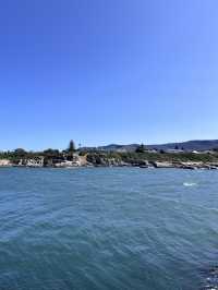 Hermanus Bay Whale Watching – Front-Row Seat to Ocean Giants 🐋