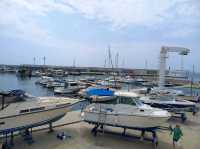 Statue, Sea, and Serenity – A Hidden Gem by the Rocks