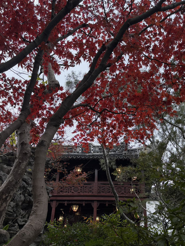 One day in Shanghai One day in Shanghai