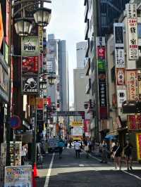 🗼 Where to Stay in Tokyo (First-Time Visitors)