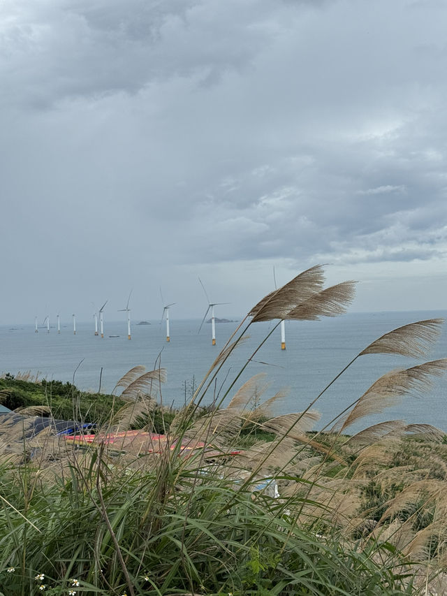 Whispers of the Wind: Two Dreamy Days on Pingtan Island