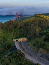 🌁 San Francisco – Where Golden Views Meet Creative Vibes