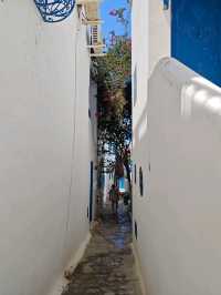 Tunisia in My Eyes: A Mosaic of Colors and Culture