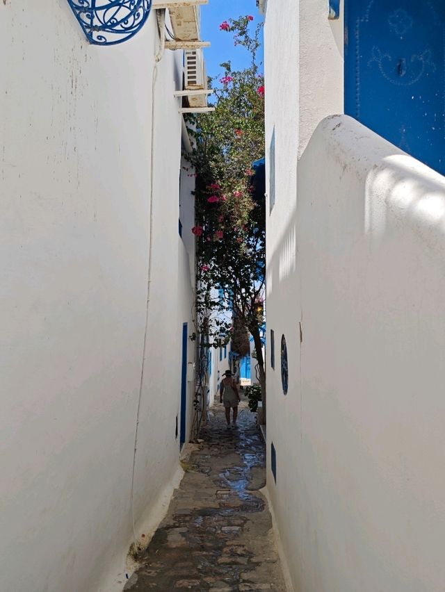 Tunisia in My Eyes: A Mosaic of Colors and Culture