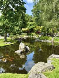 Peaceful Morning in Kyoto Garden