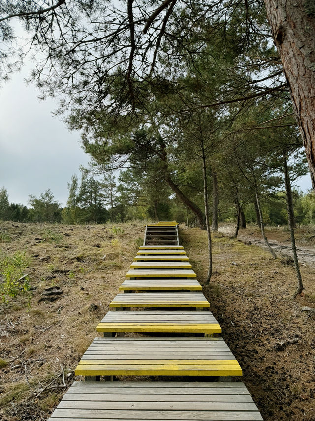 The Curonian Spit is a narrow sandy stretch of land between the Baltic Sea and the Curonian Lagoon