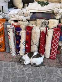Essaouira in Morocco is a real paradise for seafoodlover
