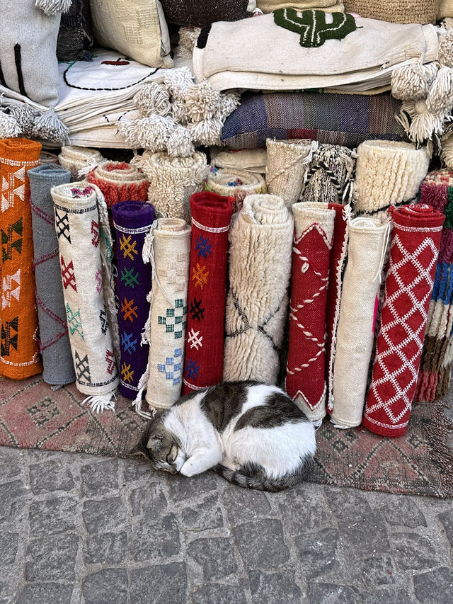 Essaouira in Morocco is a real paradise for seafoodlover