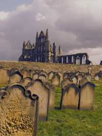 Seagulls, Sunsets, and Shadows: A Day in Whitby