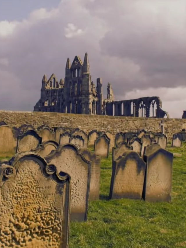 Seagulls, Sunsets, and Shadows: A Day in Whitby