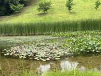 2-Day Kanazawa Tour: Meditative Temples and Modern Art Symphony
